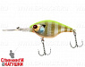 Chartreuse back blue gill