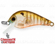Broun Gill Transparent (EG-184-SP#A68G)