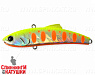 #006-Motley Fish