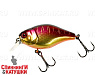 Spawning Tiger