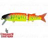 Sunrise Mat Tiger (EG-157B-SP#A242S)