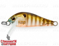 Broun Gill Transparent (EG-183S#A68G)