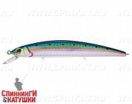 Pacific Sardine (EG-190A-SP#692-713-RP)