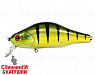 2000 European Perch