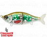 Glitter Pike Green (EG-051#TR-002)