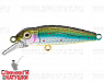 Silver Loach (EG-074SP#964T)