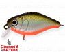 Natural Shad Silver (EG-164F#612T)