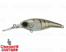 #15 Chart NumaEbi