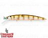 Broun Gill Transparent (EG-190A-SP#A68G)