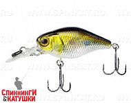 hl shad