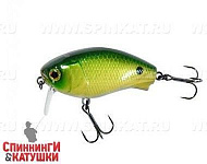 Noike Green Back