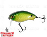 Noike Green Back