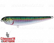 Pacific Sardine (EG-030#692-713-RP)
