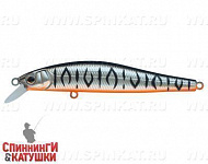 Grey Shadow Mat Tiger (EG-192C-SP#A243ES)