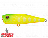 Lemon Mat Tiger (EG-046#A178S)