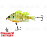 Rt Albino Chartreuse Gill