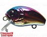 Cockchafer Oil (EG-036F#A213R)