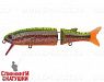 EG-157-SP#GC04G-UV