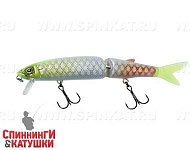 Albino Chart Piraruku