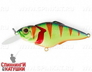 Acid Perch (EG-081CJ#A139)