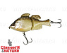 Noike Gold Beta