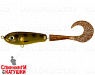 Spotted Bullhead (EG-159#C713G)