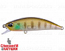 #CCC3158 Ghost Gill