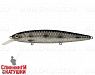 Silver Spotted Bullhead (EG-191-SP#A249-3D)