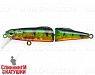Transparent Perch (JS-393#A102G)