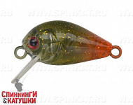 Hot Tail Motoroil UV (EG-182-SP#Z411-3)