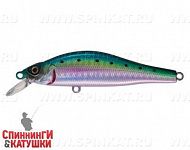Pacific Sardine (EG-125B-SP#692-713-RP)