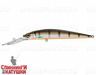 Minke Whale (JL-062F#201-264)
