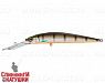 Minke Whale (JL-062F#201-264)