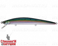 Pacific Sardine (EG-145F#692-713-RP)