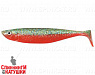 Carrot (SPT-13#009)