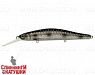 Silver Spotted Bullhead (EG-193BXL-SP#A249F-3D)