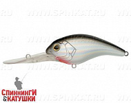 Black Back Silver (EG-224#A010-EP)