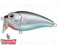 Black Back Silver (JL-038L#A010-EP)