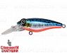 Blue Back Silver OB Fluo (EG-073F#A234-SBO-LU)