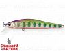 Transparent Pearl Arctic Char (EG-192A-SP#AR152G)