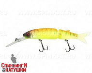 Tropical mat tiger