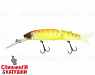 Tropical mat tiger