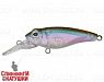 DeadFish (EG-073F#500G)