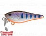 Arctic Char (EG-239#A142-264)