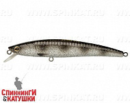 Silver Spotted Bullhead (JL-119-SP#A249F-3D)