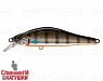 Minke Whale (EG-125B-SP#201-264)