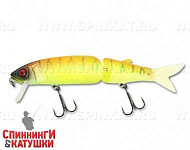 Tropical mat tiger