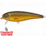 Golden Roach (EG-205#A256)