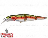 Trout Silver (EG-079JA#71EP)