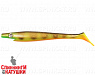 Orange Belly Perch (SP-172C#C039)